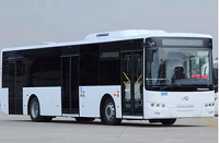 武汉公交车内长蘑菇 公交集团14人被问责