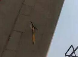 东航一飞机险酿机毁人亡事故 两机长终身停飞