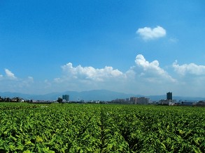 高唐信贷投放向产业转型升级倾斜