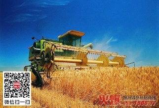 江苏&ldquo;去库存&rdquo;缓解仓容难题