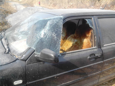 隆化县一起因重复办证引发的林权纠纷何时了