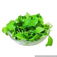 丝博会杨凌分团举行绿色食品品鉴会