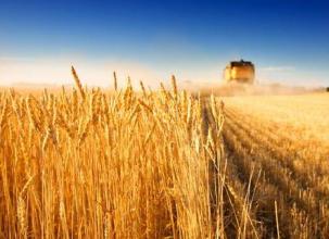 转基因不是万能药亦不是怪物&mdash;&mdash;解读最新美国转基因