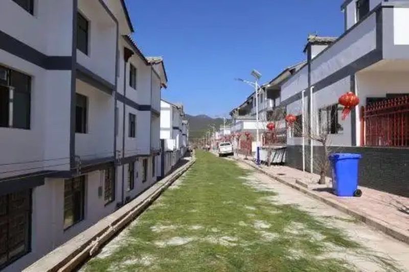 评论 | 呆呆事件背后的乡村振兴启示：回归本真方能留住人心