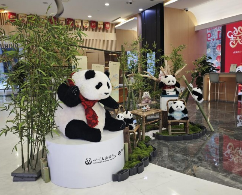 打卡新地标！四川天府银行成都锦江支行变身&ldquo;熊猫乐园&rdquo;