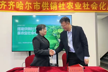 齐齐哈尔供销农业综合服务公司成立 构建全链条农业社会化服务体系