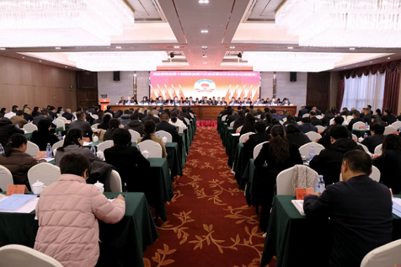 各地&ldquo;两会&rdquo;| 政协茶陵县十届六次会议闭幕：携手奋进&ldquo;十五五&rdquo; 同心聚力开新局