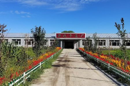 依托资源优势，克山县发展乡多管齐下推动村级集体经济发展