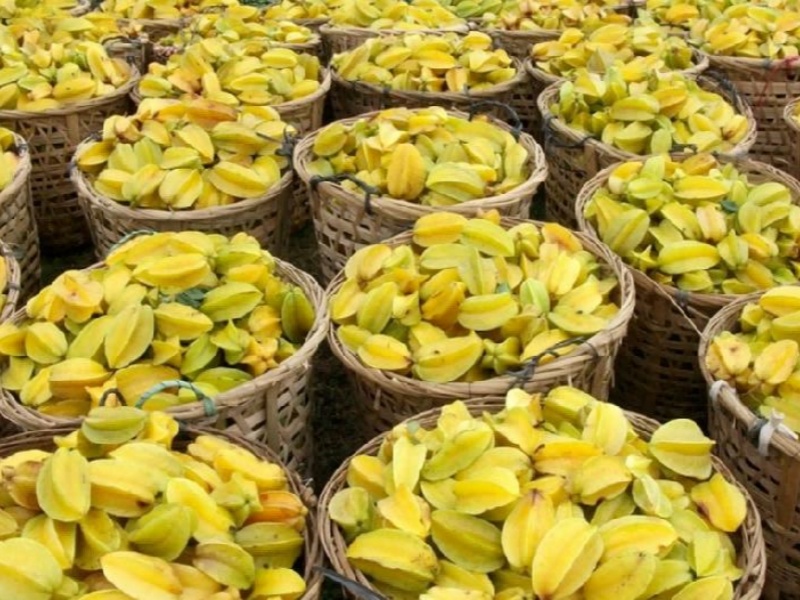 擘画滨海旅居新图景 马尾琅岐云龙村探索乡村振兴新路径