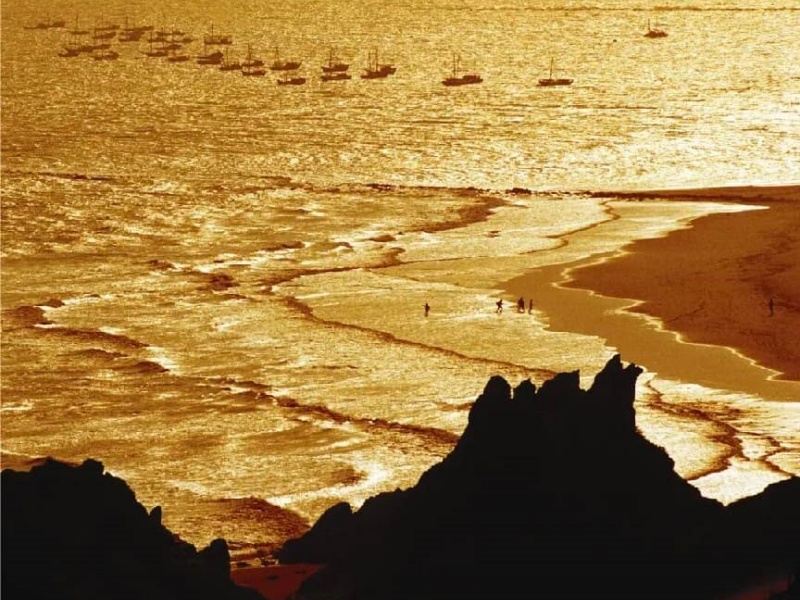 擘画滨海旅居新图景 马尾琅岐云龙村探索乡村振兴新路径