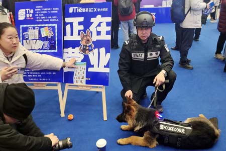 铁警护航伴春运 燕赵和&lsquo;枫&rsquo;暖归途--石家庄铁路公安处组织开展春运主题宣传活动