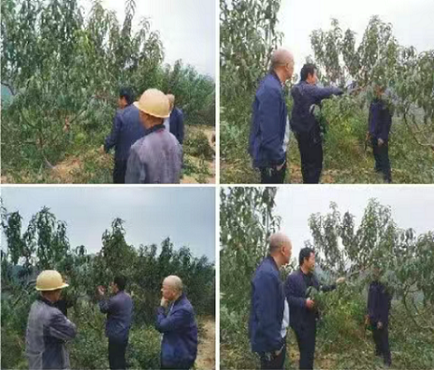 醴陵&ldquo;柔性引才&rdquo;破解县域人才难题，&ldquo;候鸟专家&rdquo;赋能特色产业腾飞