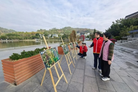 云霄供电：践行生态理念 守护湿地之美