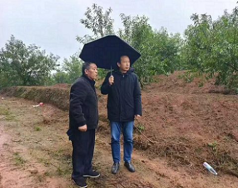 醴陵&ldquo;柔性引才&rdquo;破解县域人才难题，&ldquo;候鸟专家&rdquo;赋能特色产业腾飞