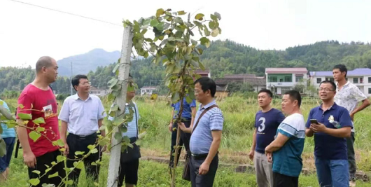 醴陵&ldquo;柔性引才&rdquo;破解县域人才难题，&ldquo;候鸟专家&rdquo;赋能特色产业腾飞