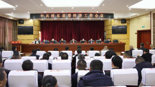 湖南桂东县以&ldquo;四城建设&rdquo;为主线 擘画2026高质量发展新蓝图