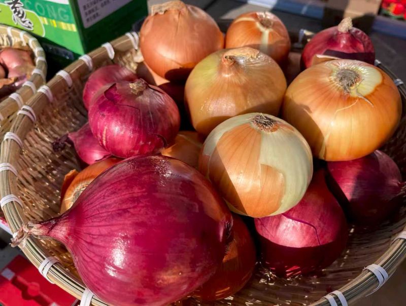 新春走基层 | 梅里斯大八旗村迎今春首个旅游团