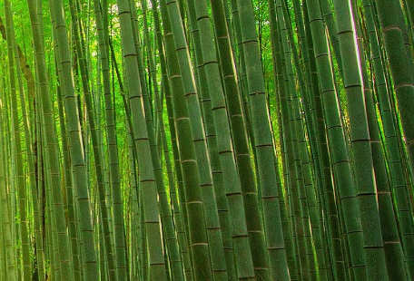 &ldquo;高端母婴消费科技第一股&rdquo;不同集团获纳入香港恒生综合指数