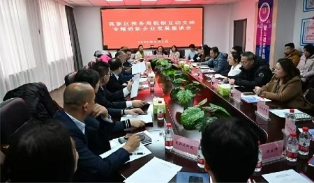 鞍山高新区税务局: 税银联动聚合力 助企纾困促发展