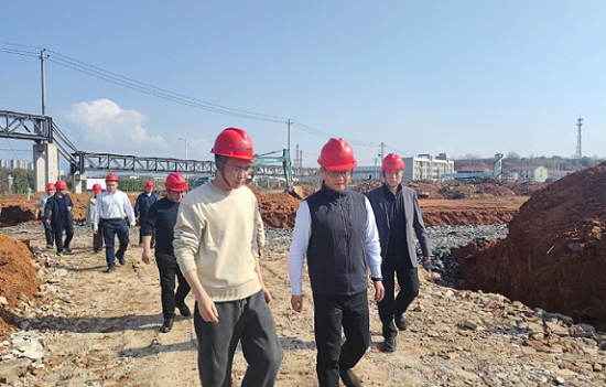 株洲市委常委、副市长刘亚亮春节督导"安全+发展"双线攻坚