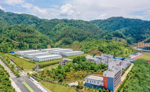 斩获食品界&ldquo;奥斯卡&rdquo;！品斛堂三款原浆饮荣膺第八届iSEE全球奖