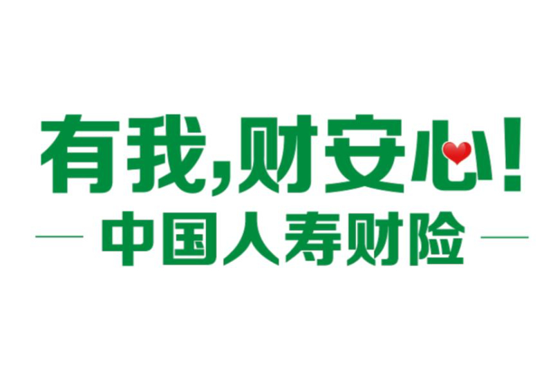暖心服务护归途 国寿财险春节坚守获点赞