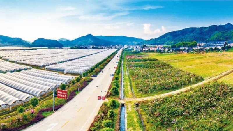 心安之处即万安│万安镇新型城镇化建设绘就幸福新画卷