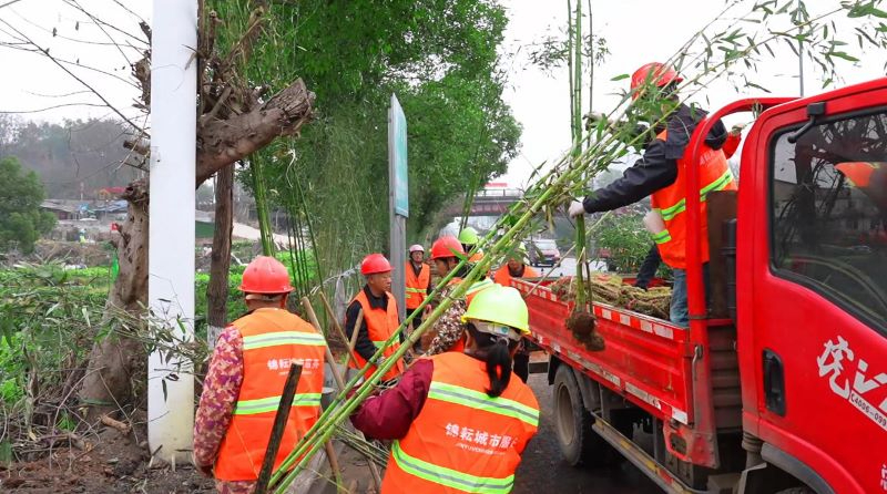 錦耘公司：不負春日好時光，綠化補植煥新顏