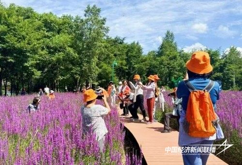 代表委员话开局丨全国人大代表董文琴：答好&ldquo;林区三问&rdquo;为&ldquo;十五五&rdquo;开局立新功