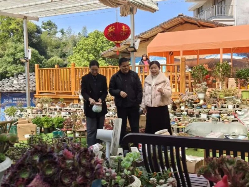 聚新村民 興旅居村：福州黃田創(chuàng)客模式點(diǎn)亮鄉(xiāng)村振興新路徑