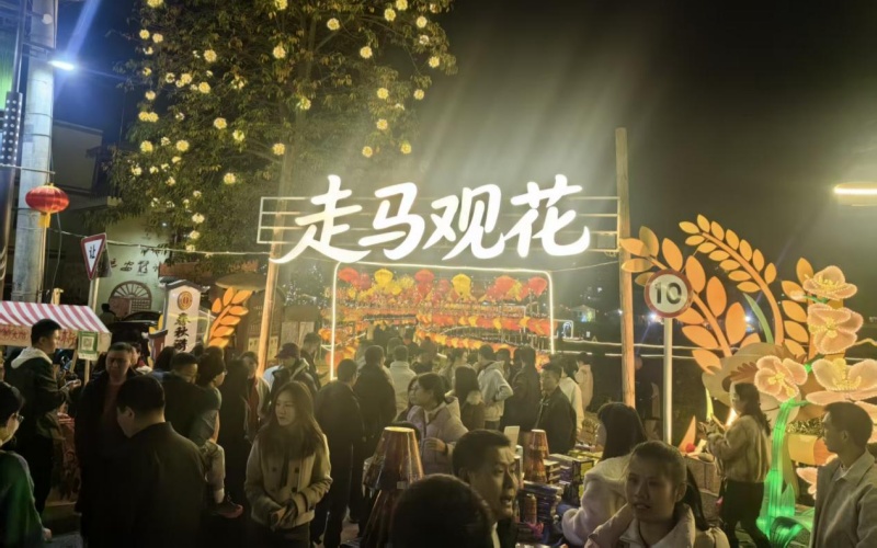 桃城鎮(zhèn)：深耕文旅融合 花石煥彩領鄉(xiāng)村振興新潮