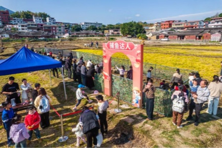 桃城鎮(zhèn)：深耕文旅融合 花石煥彩領(lǐng)鄉(xiāng)村振興新潮