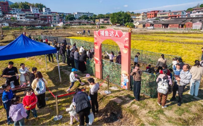 桃城鎮(zhèn)：深耕文旅融合 花石煥彩領鄉(xiāng)村振興新潮