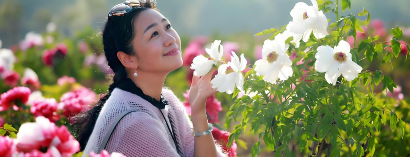 杭州：数字赋能赏花期 潮玩解锁新春光