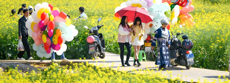 湖南攸县油菜花节：花海&ldquo;流金&rdquo;变&ldquo;真金&rdquo;