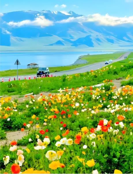 从&ldquo;看花&rdquo;到&ldquo;玩花&rdquo; 2026新疆春季赏花团本周末集中发车 疆外游客占比近半