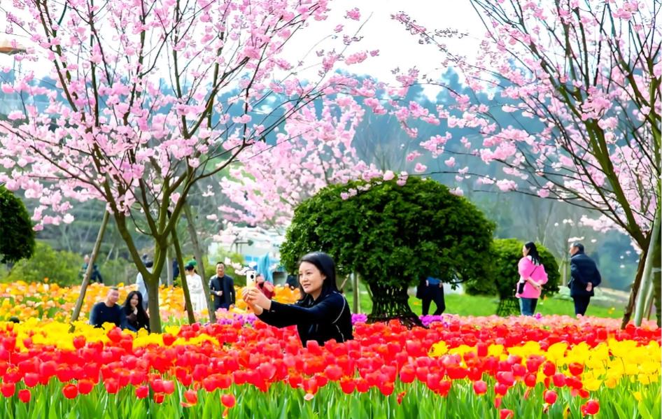 杭州：数字赋能赏花期 潮玩解锁新春光