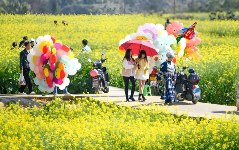 从&ldquo;看花&rdquo;到&ldquo;玩花&rdquo; 2026新疆春季赏花团本周末集中发车 疆外游客占比近半