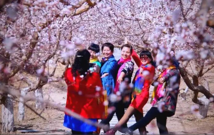 从&ldquo;看花&rdquo;到&ldquo;玩花&rdquo; 2026新疆春季赏花团本周末集中发车 疆外游客占比近半