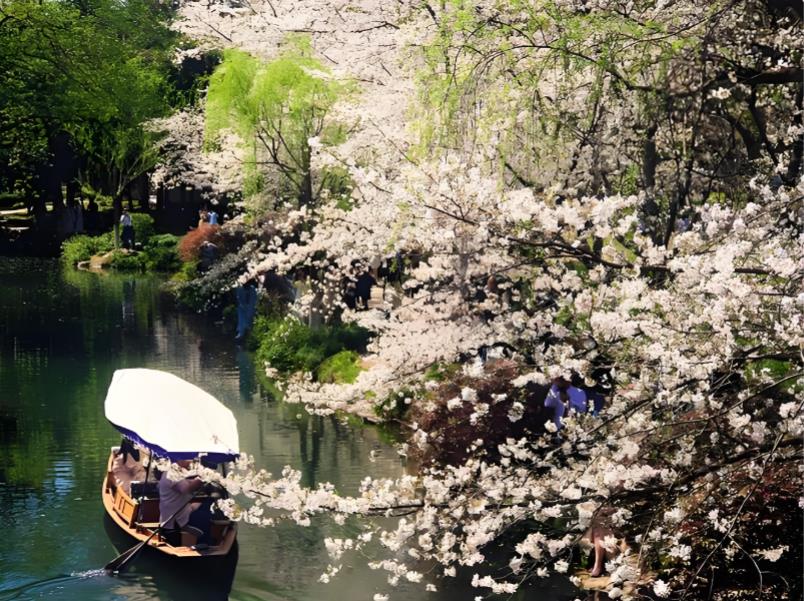 杭州：数字赋能赏花期 潮玩解锁新春光