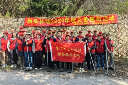 厦门应急执法支队开展苗木抚育活动：以&ldquo;三分管&rdquo;理念厚植鹭岛生态底色