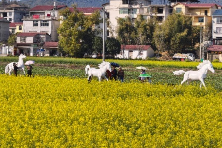 福建南平：马文化塑乡村景致 文旅兴赋能振兴画卷