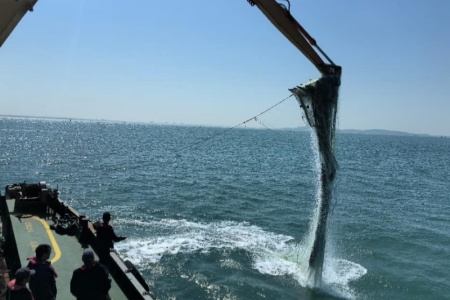 厦门多部门联合开展航道执法行动 清理碍航渔具救助珍稀物种