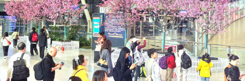 &ldquo;樱&rdquo;约&ldquo;汉马&rdquo; 武汉站加开高铁专列 提供充足运力保障