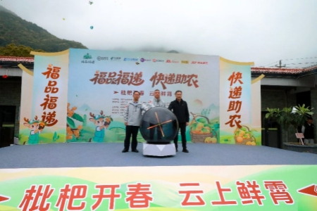 &ldquo;快递＋直播＋文旅&rdquo;融合 云霄枇杷成&ldquo;黄金果&rdquo;