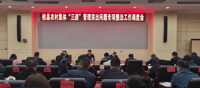 湖南攸县：打好&ldquo;三资&rdquo;整治攻坚战 筑牢乡村振兴&ldquo;压舱石&rdquo;