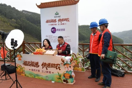 保电助农护民生 国网云霄供电圆满完成枇杷助农活动保电任务