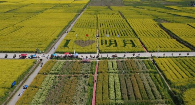 醴陵明月镇：&ldquo;油&rdquo;旅融合走出乡村振兴特色路