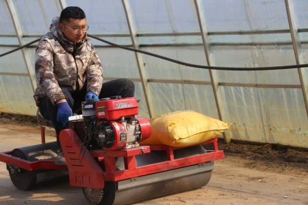 黑龙江泰来农场：苗床精整见真章育秧奠基盼丰收