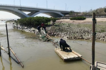 织密防护网络 强化全域监管 | 厦门海洋执法开展违规网具专项行动